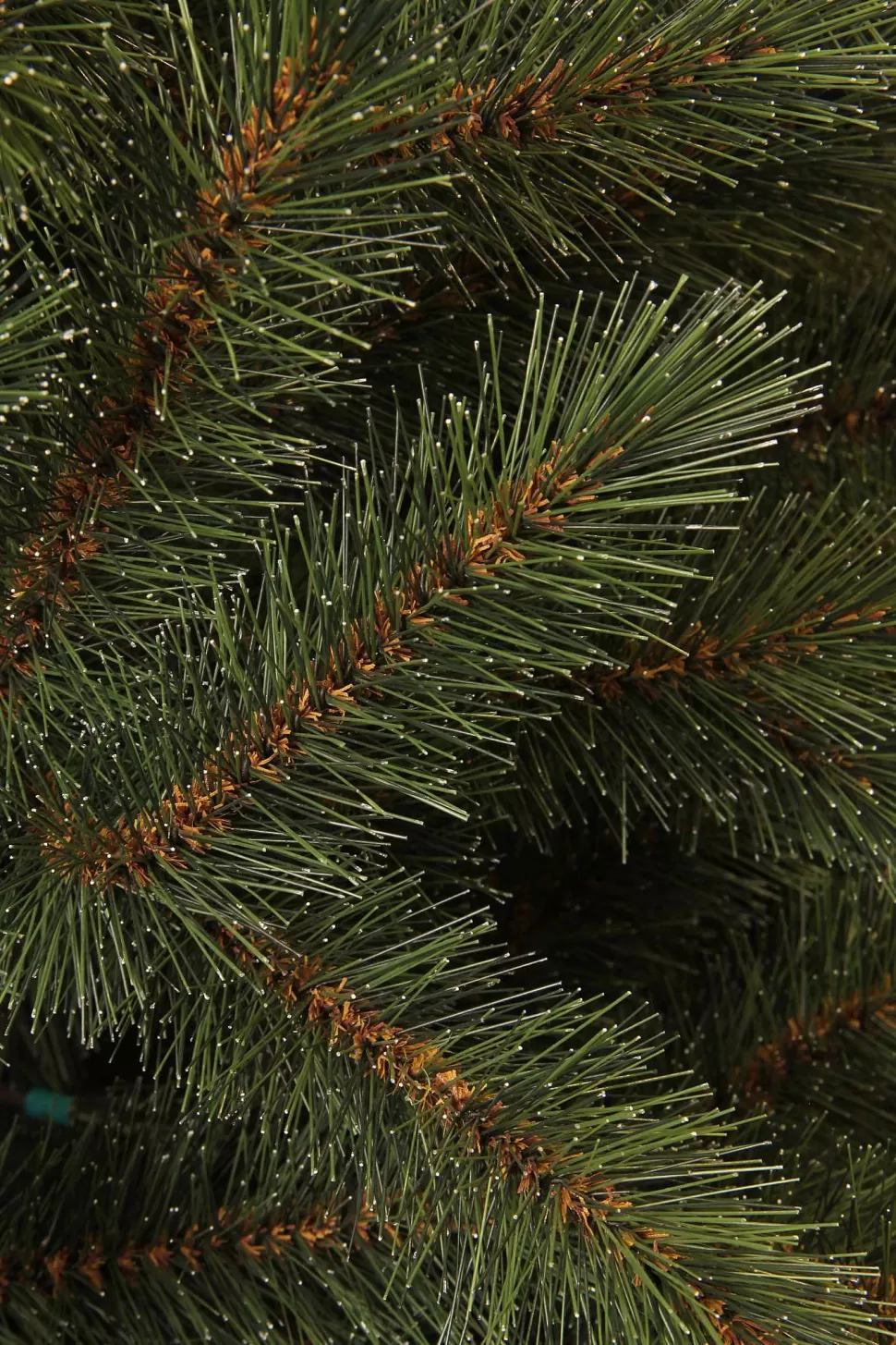 Cheap Kerstboom Toronto (H185 X O114 Cm) Kerstbomen