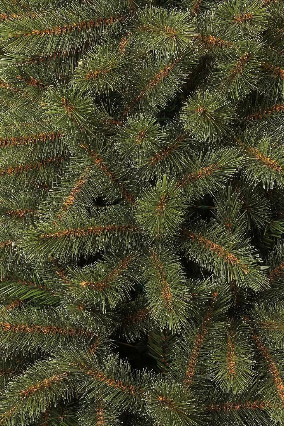 Cheap Kerstboom Toronto (H185 X O114 Cm) Kerstbomen