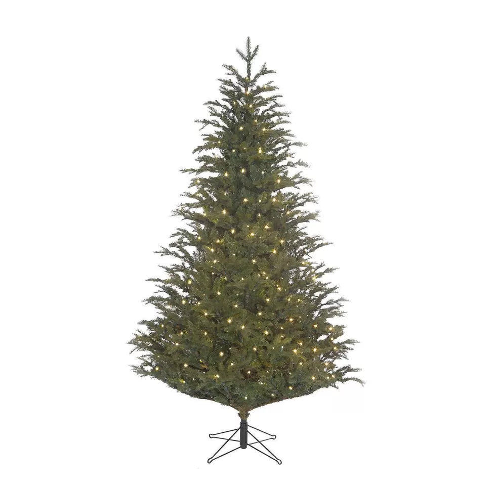 Cheap Verlichte Kerstboom Frasier (H185 X O124 Cm) Kerstbomen