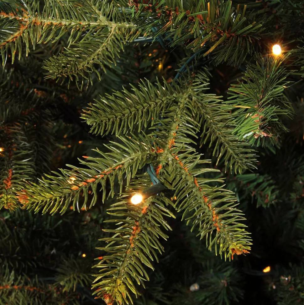 Cheap Verlichte Kerstboom Frasier (H185 X O124 Cm) Kerstbomen