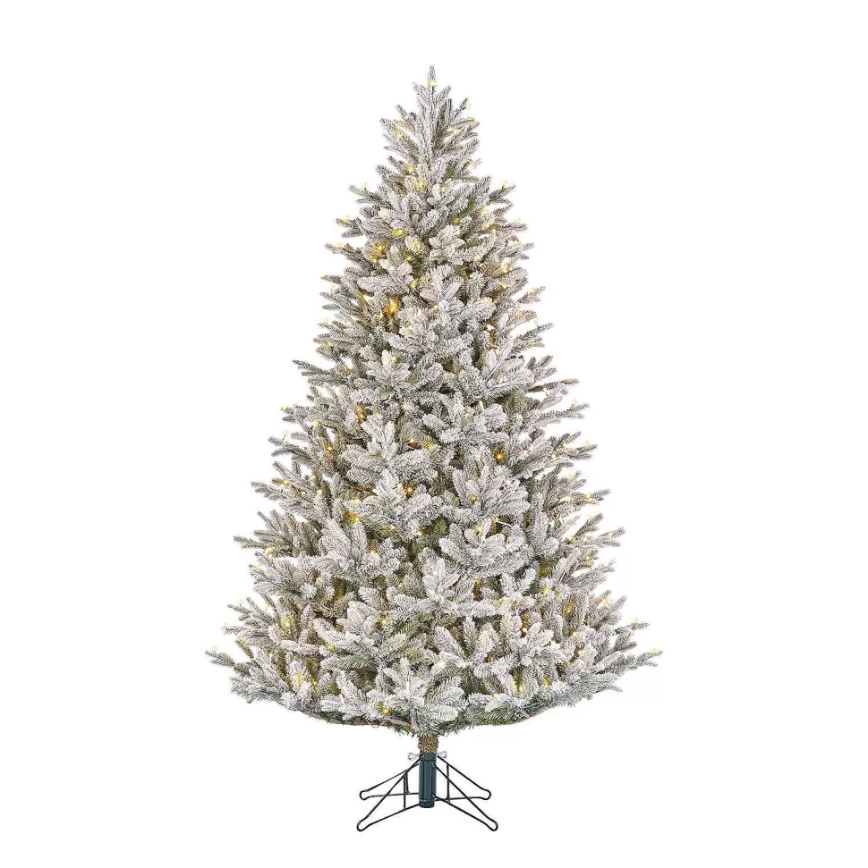 Discount Verlichte Kerstboom Frasier (H185 X O124Cm) Kerstbomen