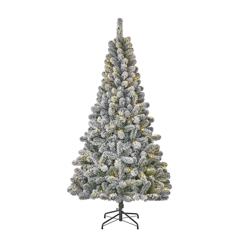 Best Sale Verlichte Kerstboom Millington (H215 X O109 Cm) Kerstbomen