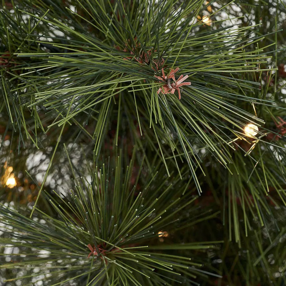 Store Kerstboom Pinus Kerstversiering