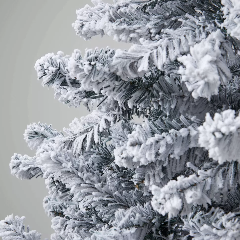 Best Kerstboom Norway Pine (H120 X O71 Cm) Kerstbomen