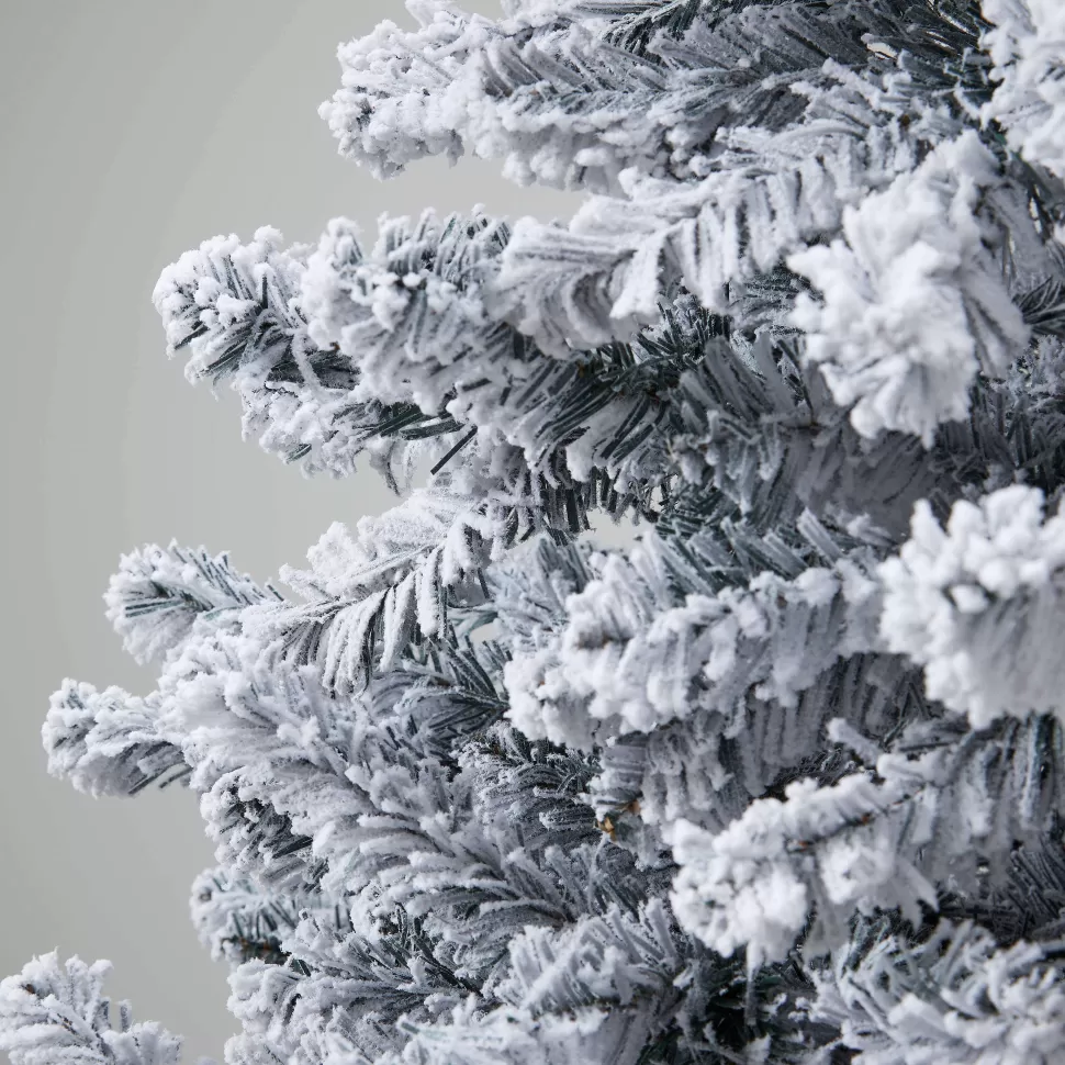 Store Kerstboom Norway Pine (H155 X O86 Cm) Kerstbomen