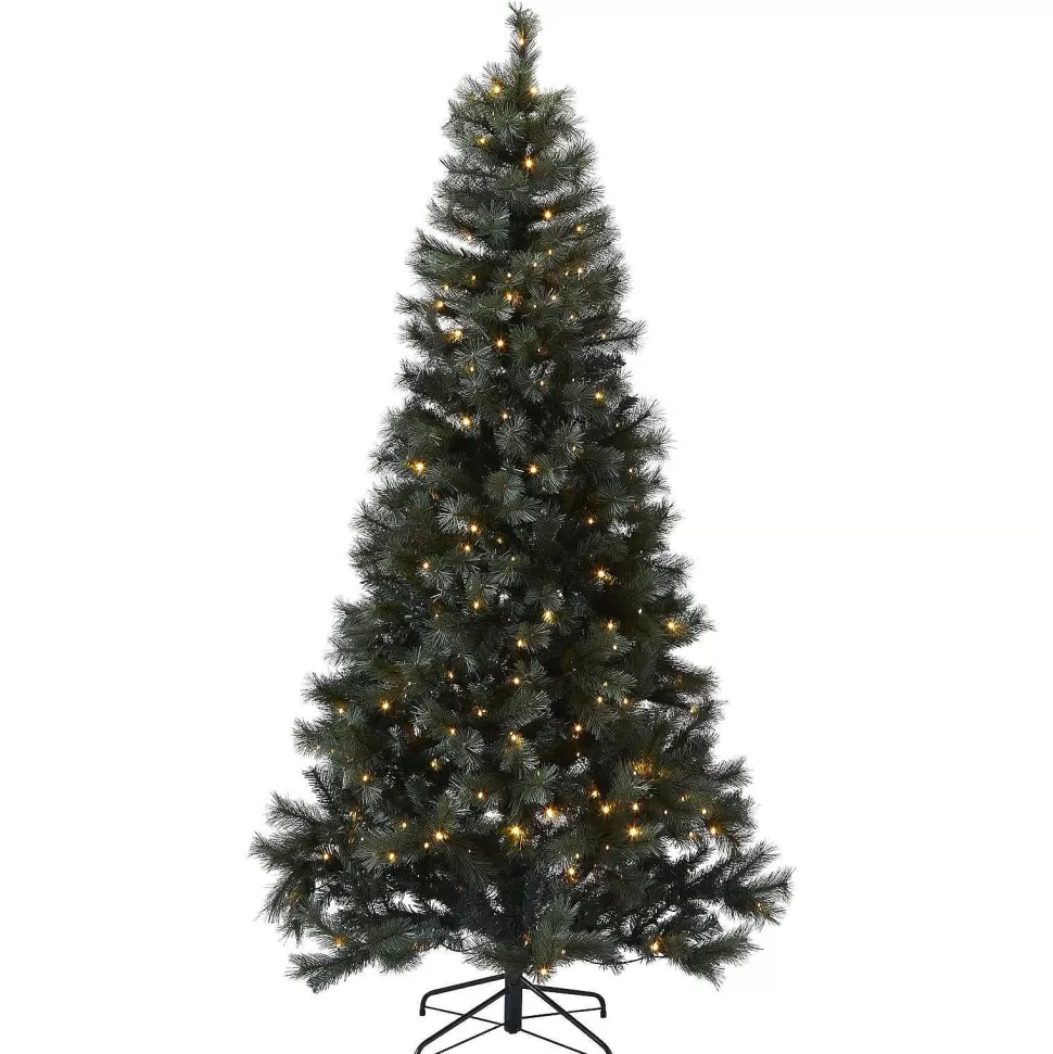 Cheap Verlichte Kerstboom Scotch Pine (H120 X O73 Cm) Kerstbomen