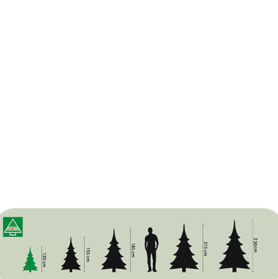 Discount Kerstboom Forest Frosted (H120 X O99 Cm) Kerstbomen