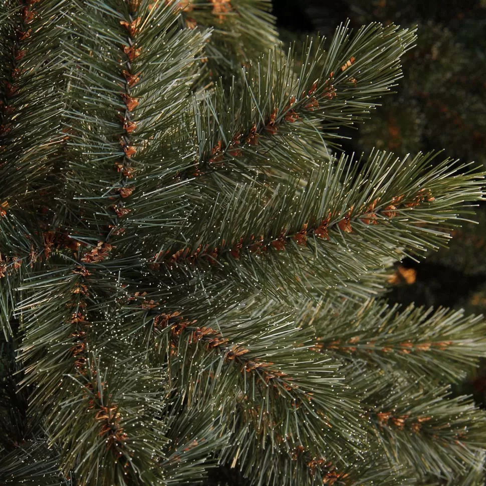 Best Kerstboom Forest Frosted (H215 X O140 Cm) Kerstbomen