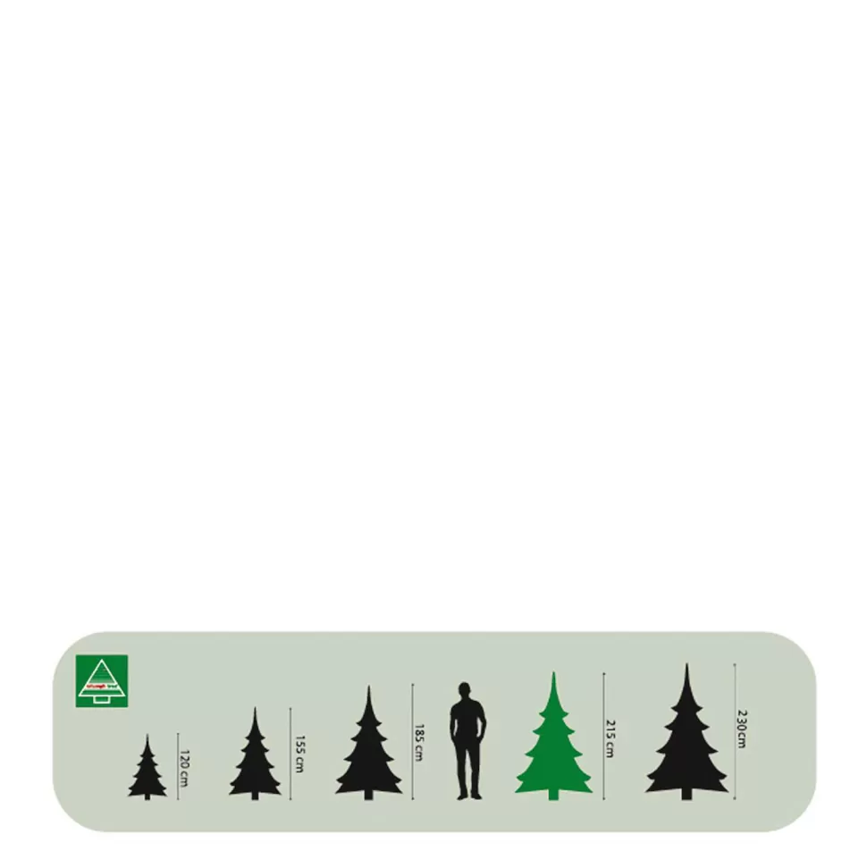 Cheap Kerstboom Forest Frosted Pine (H215 X O140 Cm) Kerstbomen