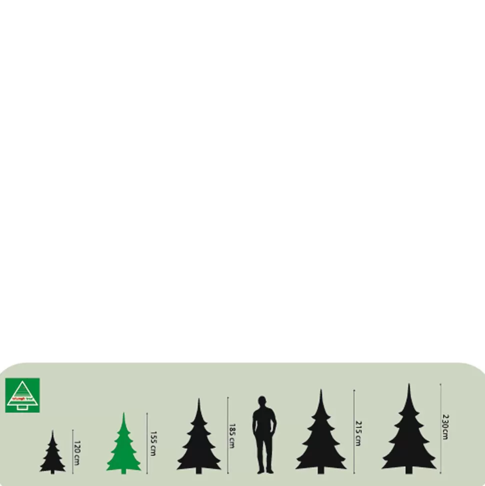 Online Verlichte Kerstboom Forest Frosted (H155 X O119 Cm) Kerstbomen